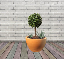 Load image into Gallery viewer, Handmade Clay Planter, Natural Terracotta plant pot, flower pots with Saucer, Pottery flower pots
